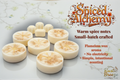 Spiced Alchemy | Flameless Wax Aroma Bar