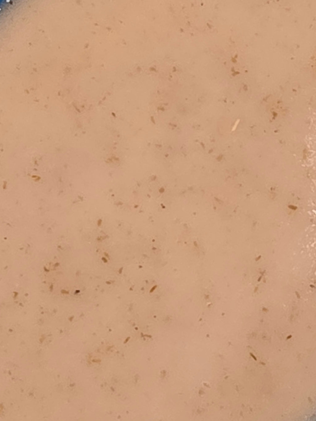 Pure Relief Massage Bar - Chamomile, Oregano & Colloidal Oats