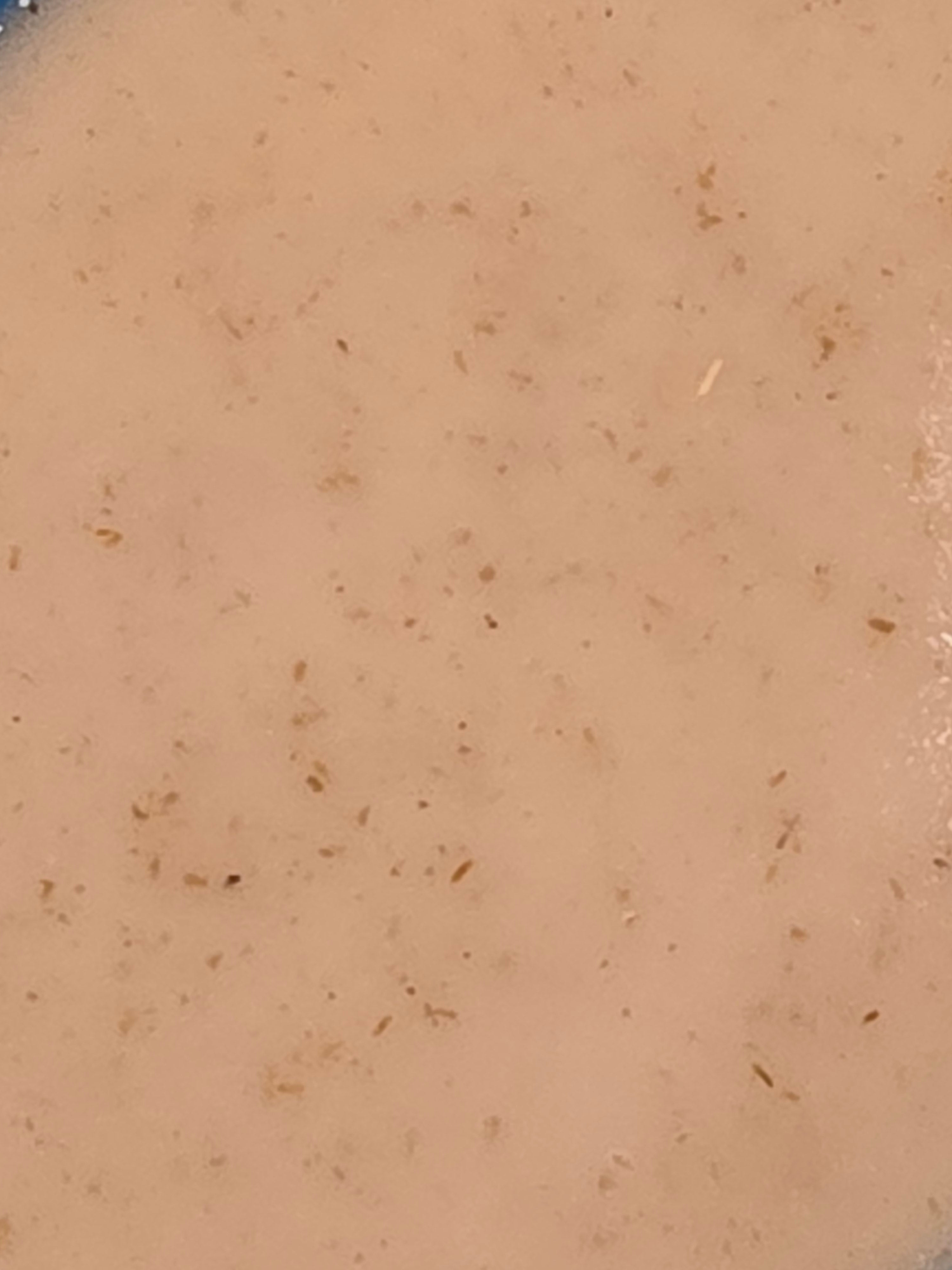 Pure Relief Massage Bar - Chamomile, Oregano & Colloidal Oats